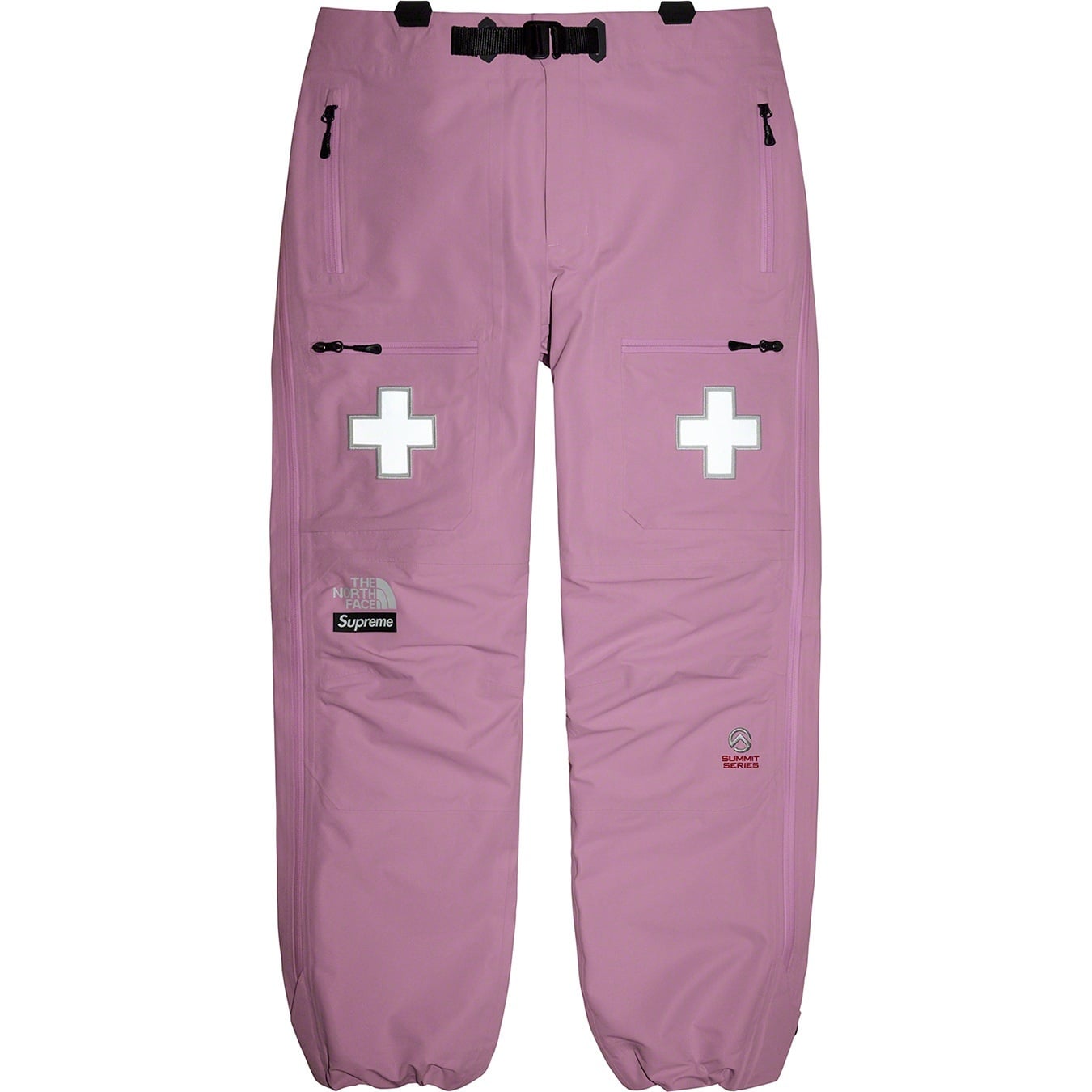 Supreme®/The North Face®Summit Series Rescue Mountain Pant view 2